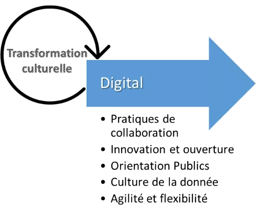 Transformation Culturelle
